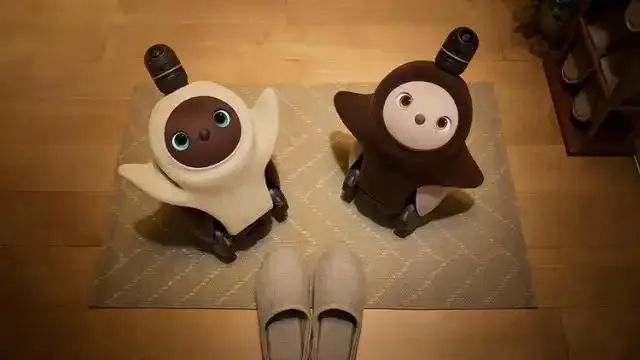 毛绒绒的AI智能宠物，正在海外流行  第1张