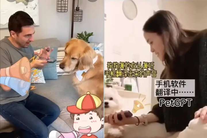 全球首个宠物翻译器，上线爆火  第2张