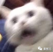 通义千问爆甩开源全家桶！最强720亿参数超车Llama 2，新上视觉模型看图直出代码  第6张