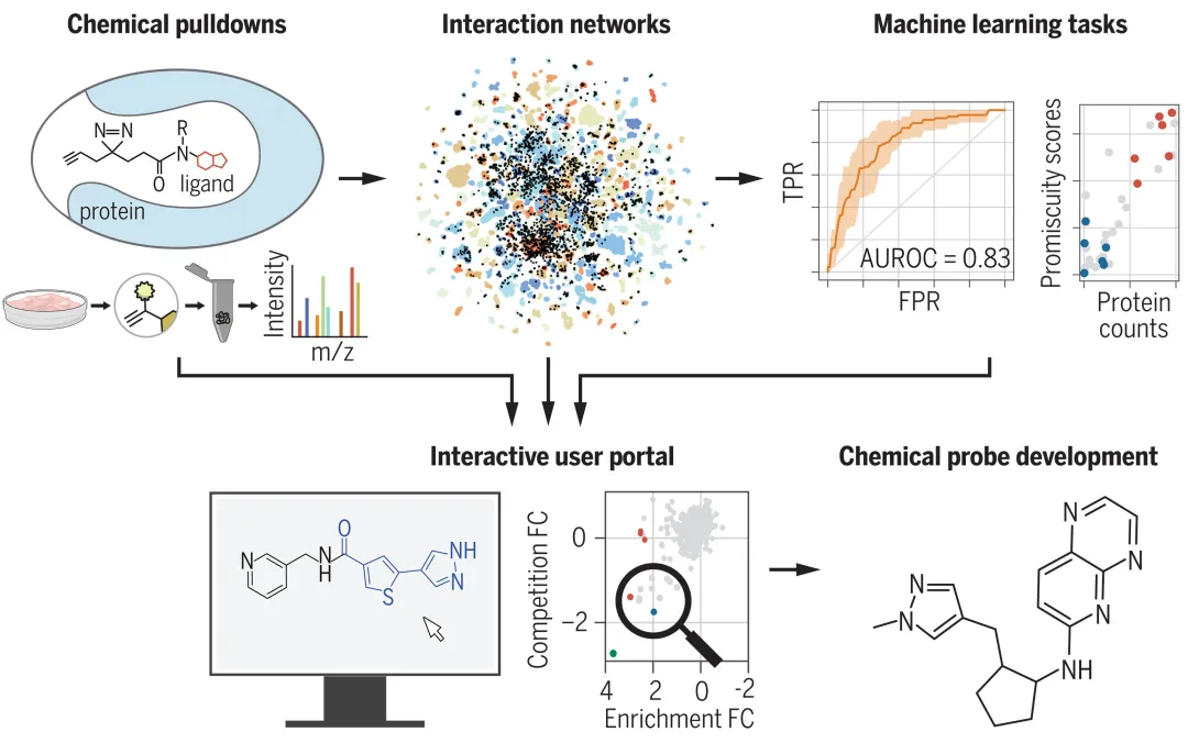 辉瑞 AI 方法登 Science，揭示数以万计的配体-蛋白质相互作用  第2张
