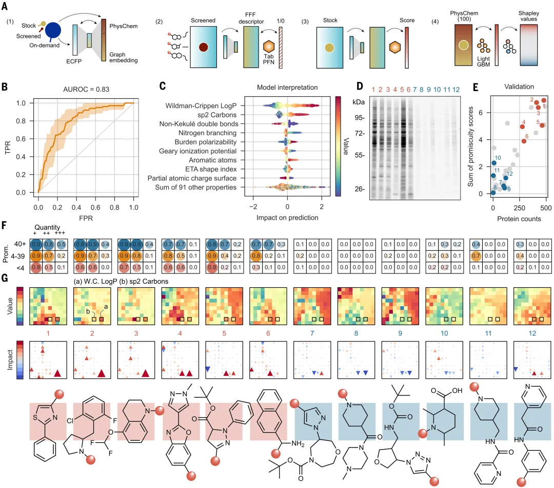 辉瑞 AI 方法登 Science，揭示数以万计的配体-蛋白质相互作用  第3张