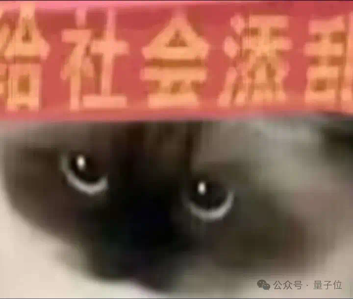 实测Gemini图片转视频新功能，终于蹲到经典梗图后续了（doge）  第3张