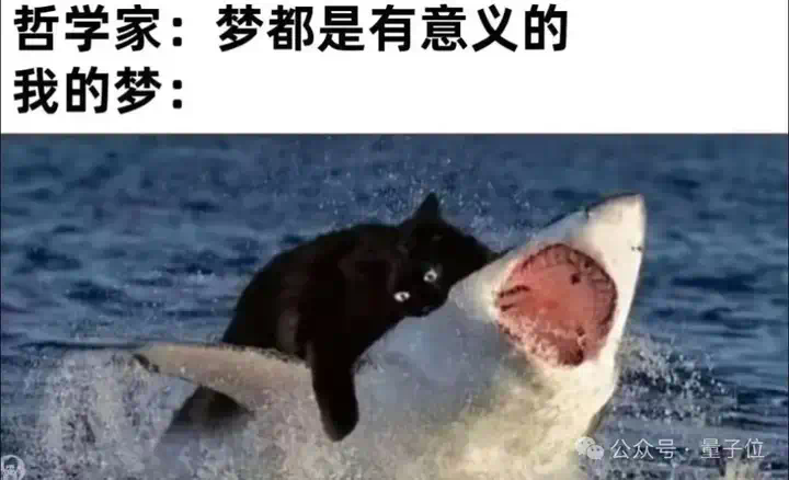 实测Gemini图片转视频新功能，终于蹲到经典梗图后续了（doge）  第18张