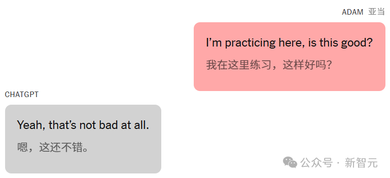 16岁少年之死震惊全球，母亲状告ChatGPT杀了我的儿子！万字死亡对话爆出  第13张