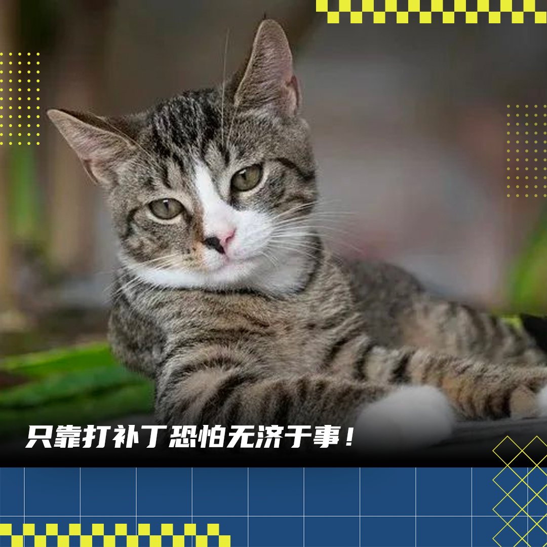 OpenAI出手后，GPT-4真的不懒了？  第1张