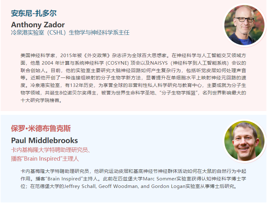 NeuroAI提出者：GPT早与大脑背道而驰……  第1张