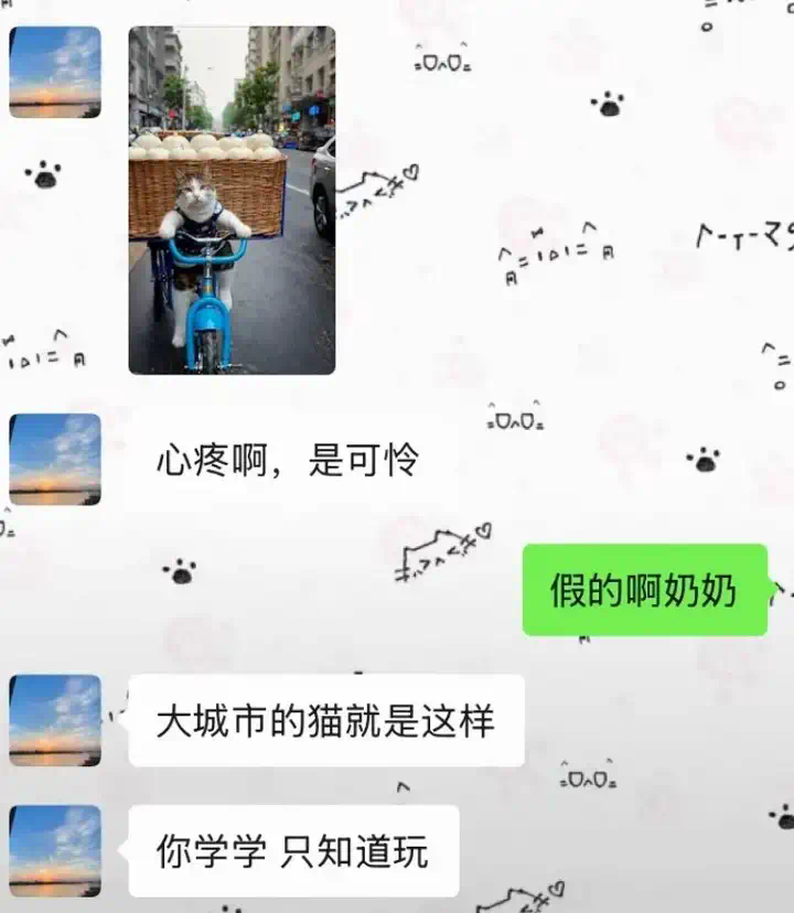 AI生成的假孙子“1岁做四菜一汤”，信以为真的咱奶被哄成胚胎了  第16张
