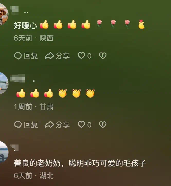 AI生成的假孙子“1岁做四菜一汤”，信以为真的咱奶被哄成胚胎了  第19张