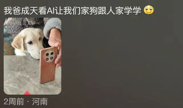 AI生成的假孙子“1岁做四菜一汤”，信以为真的咱奶被哄成胚胎了  第24张