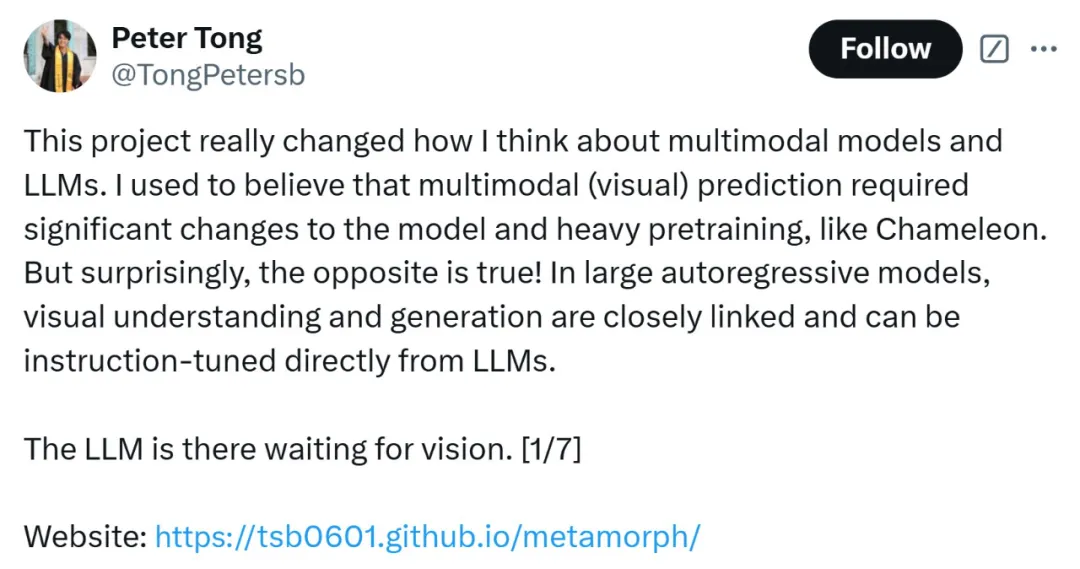 统一视觉理解与生成，MetaMorph模型问世，LeCun、谢赛宁、刘壮等参与  第2张