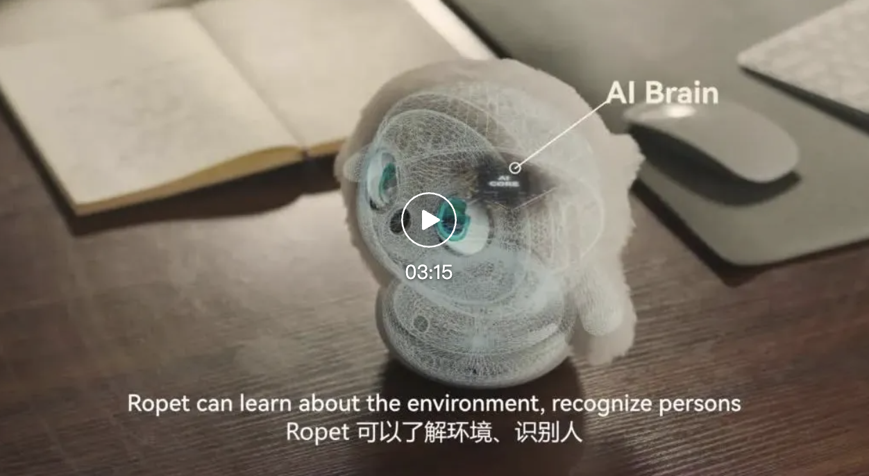 对话Ropet CEO何嘉斌：AI潮玩的目标，就是造一个活的“Labubu”？  第1张