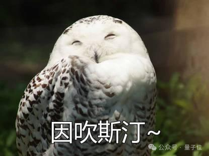 8岁女孩玩转AI编程，45分钟打造聊天机器人，Karpathy都看呆了  第5张