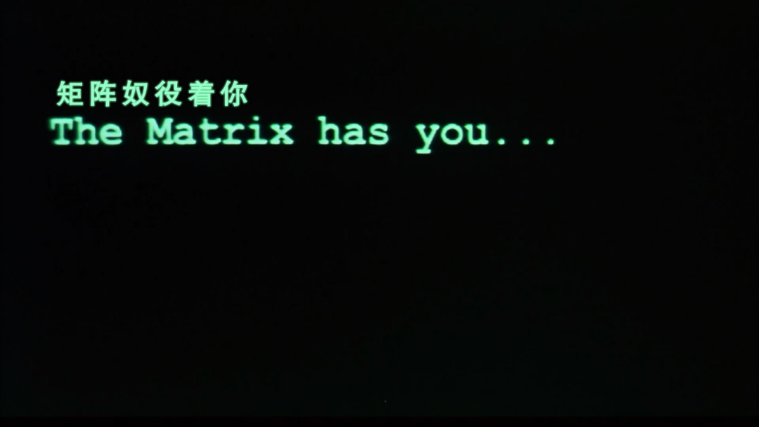 AI黄片，为什么这么多人在看？  第14张