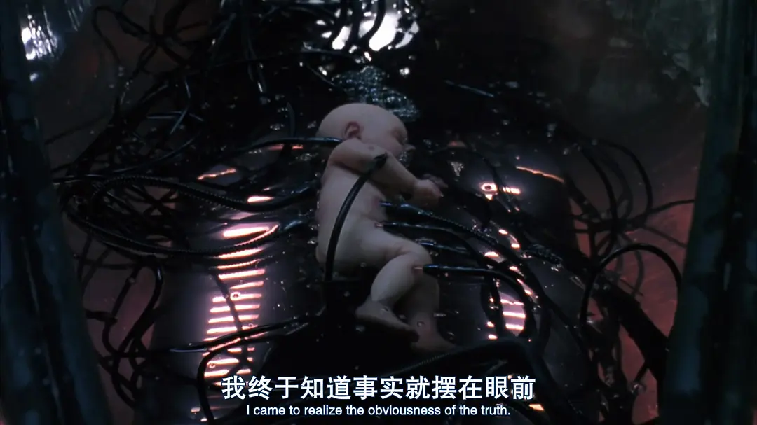 AI黄片，为什么这么多人在看？  第23张