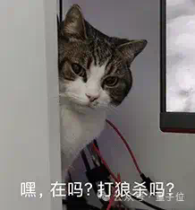 不走寻常路的淘天技术节：AI狼人杀、Poster路演、博见社轮番上阵  第3张