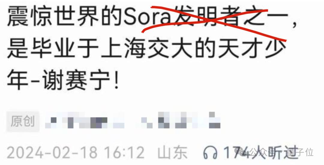 谢赛宁紧急辟谣：Sora跟我一点关系没有，他们996搞一年了  第1张