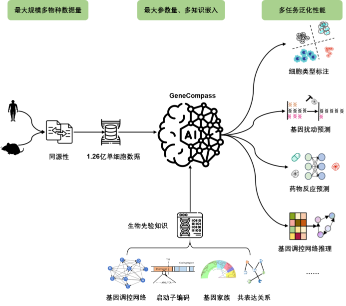 2023年科研领域「 科学ChatGPT」有哪些？LLM for Science有哪些探索......  第8张