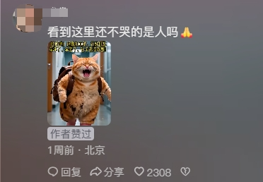 一夜爆火的AI“电子榨菜”，让同行无地自容  第7张