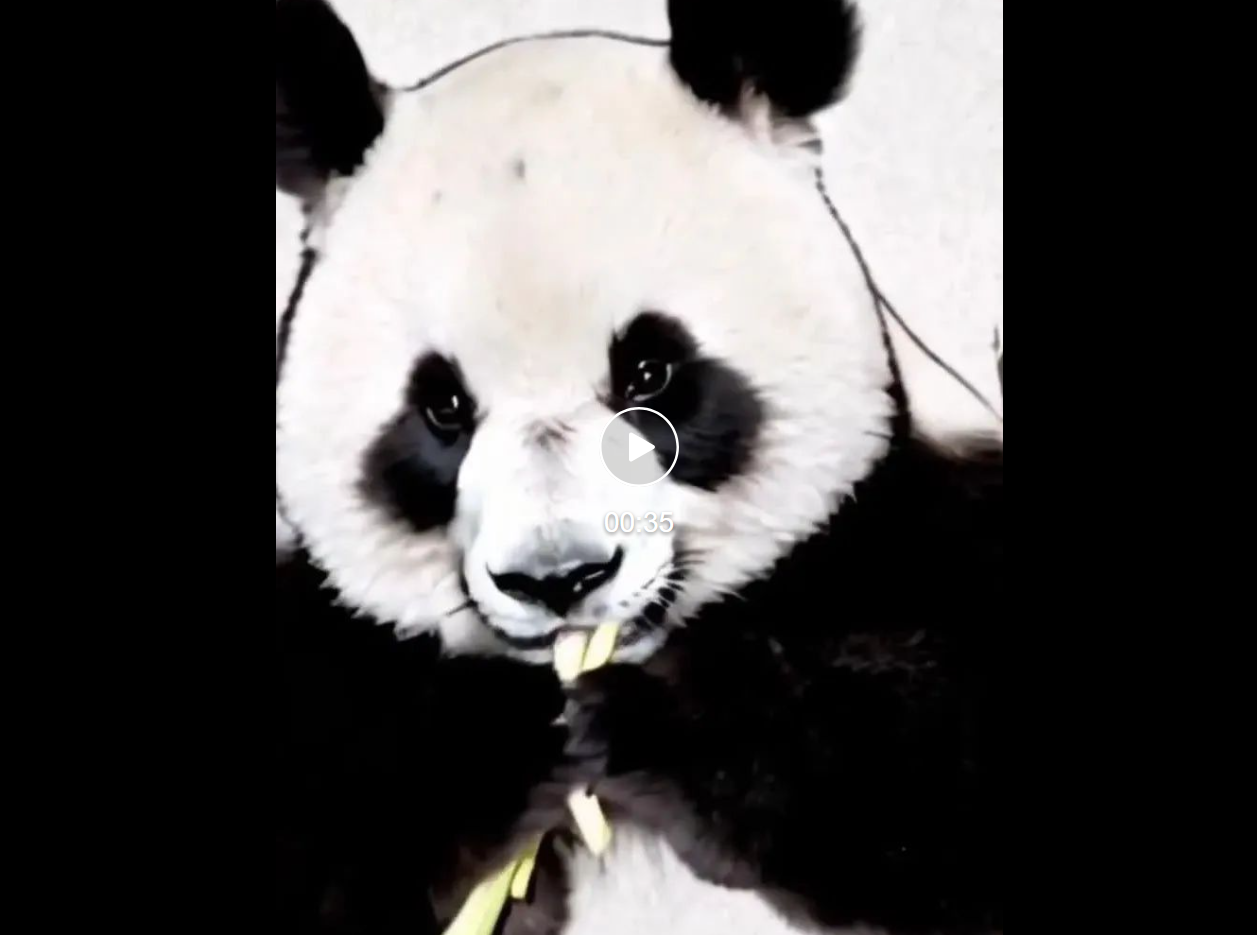 千呼万唤的可灵网页版来了！基础模型重磅升级，新功能“炸场”WAIC  第6张