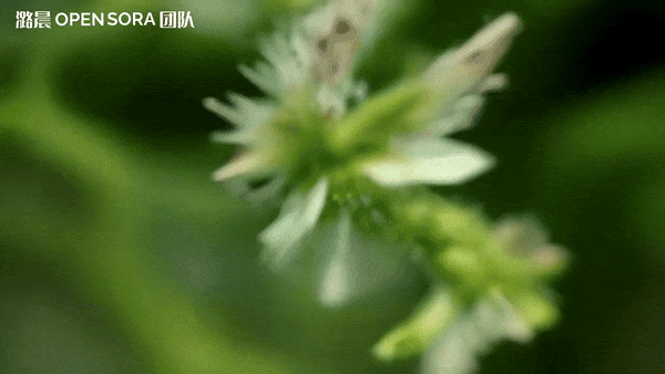 单镜头16秒720p高清视频一键生成，开源版Sora又有新惊喜了  第9张