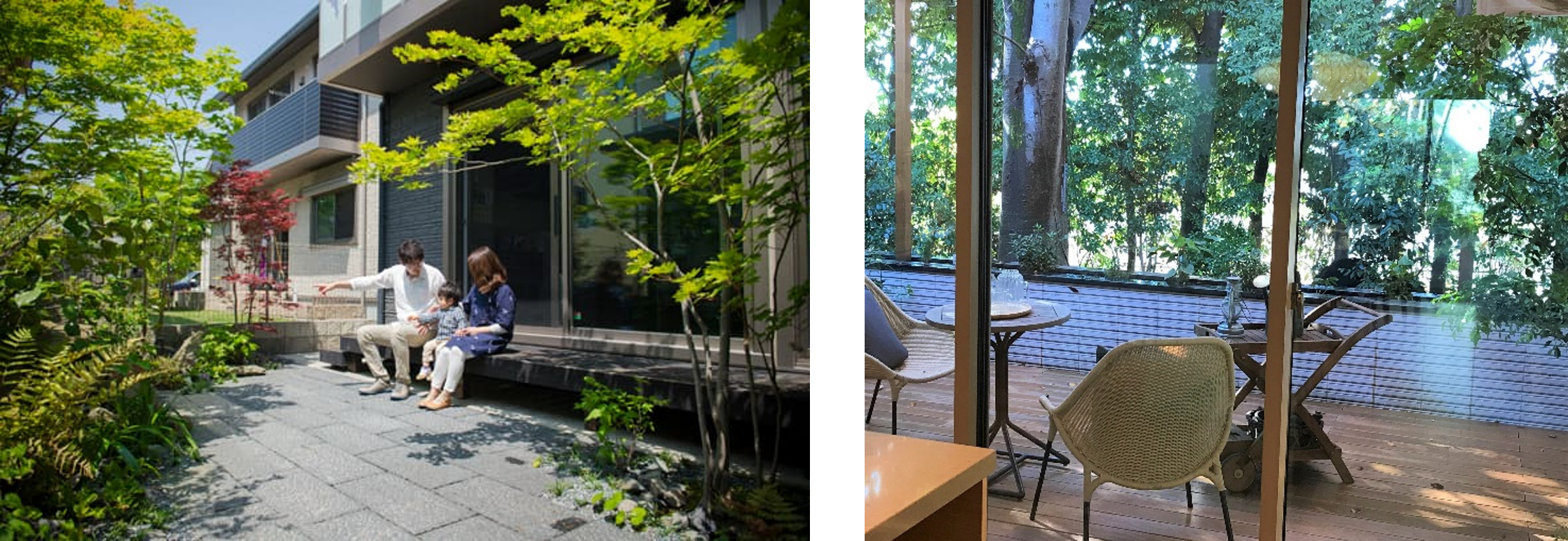 baidu09东京大学与 Sekisui House 启动生物多样性与健康联合研究  第1张
