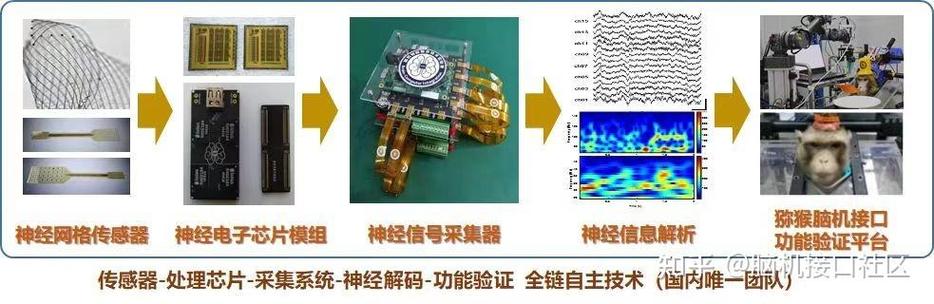 百度拜读09baidu脑机智能融合公司微灵医疗完成数千万元天使轮融资 第1张 百度拜读09baidu脑机智能融合公司微灵医疗完成数千万元天使轮融资 第1张