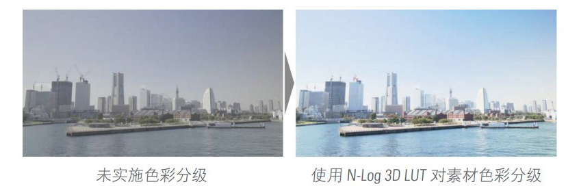 尼康推出用于尼康D780相机N-log的3D LUT  第2张