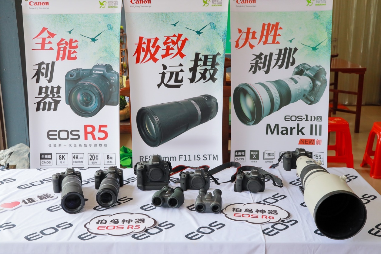 观鸟中国行走进鹇来谷 寻影最美白鹇  第3张