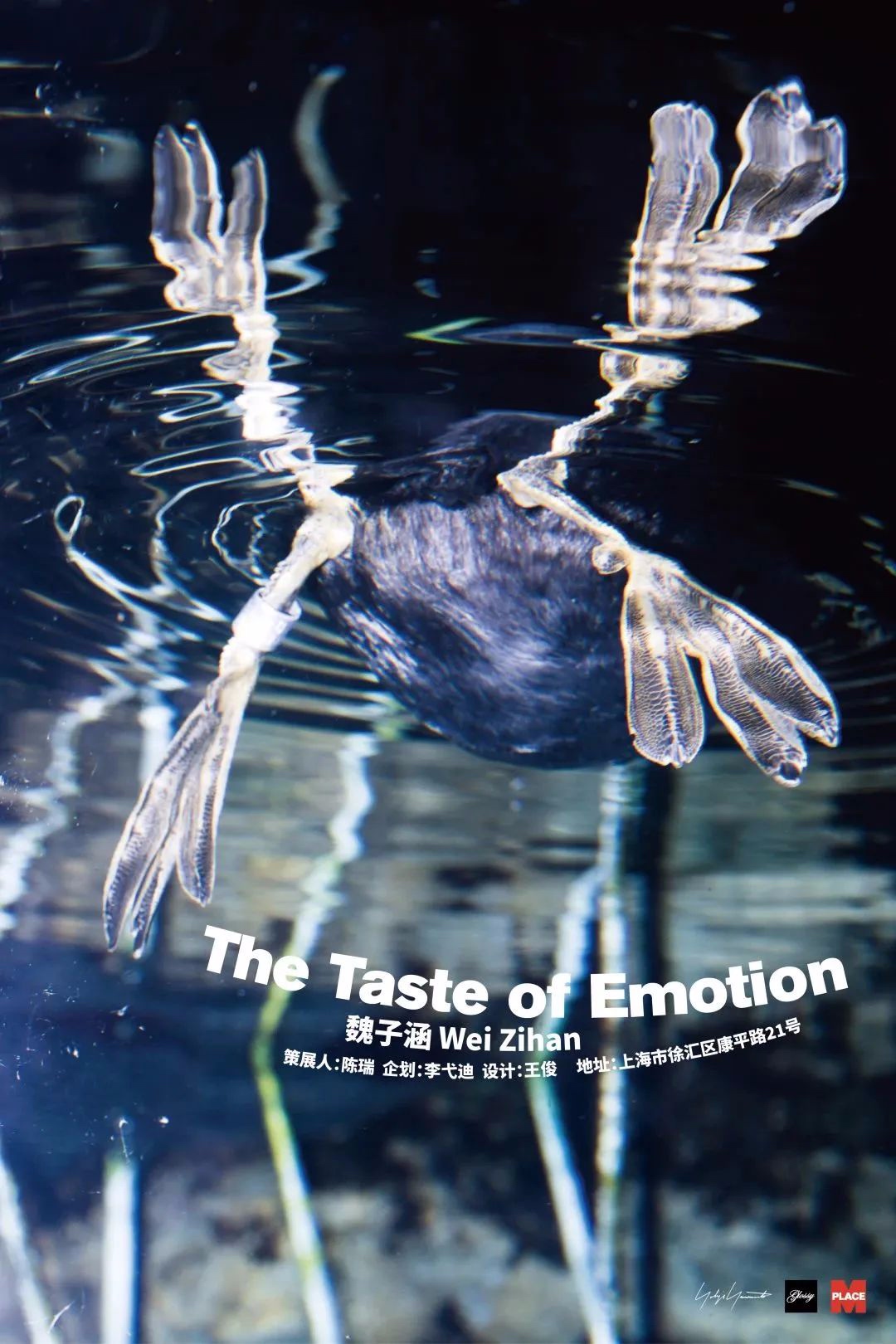 Place M 展览 ｜ The Taste of Emotion  第1张