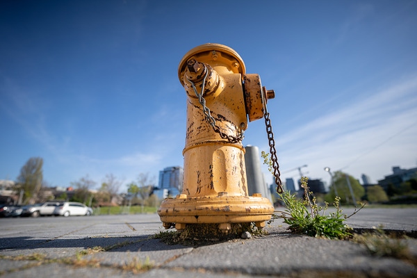 索尼FE 14mm F1.8 GM实拍样张欣赏  第12张