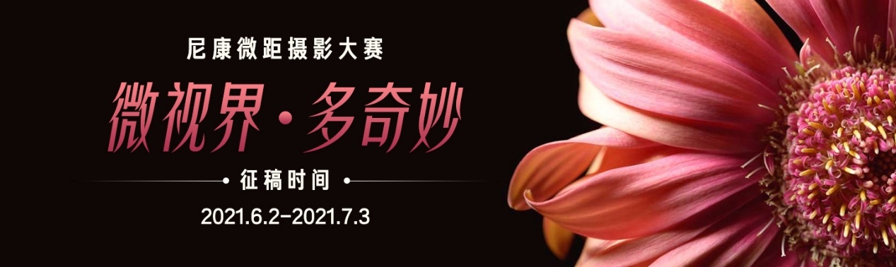 探秘微距视界，发掘未知精彩 尼康微距摄影大赛正式启动  第1张