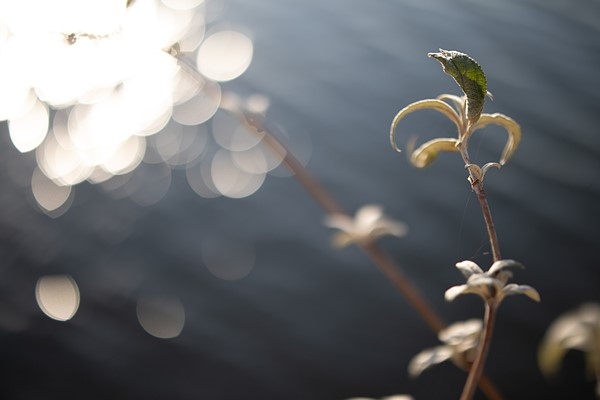 佳能EF-M32mm F1.4 STM实拍样张欣赏  第3张
