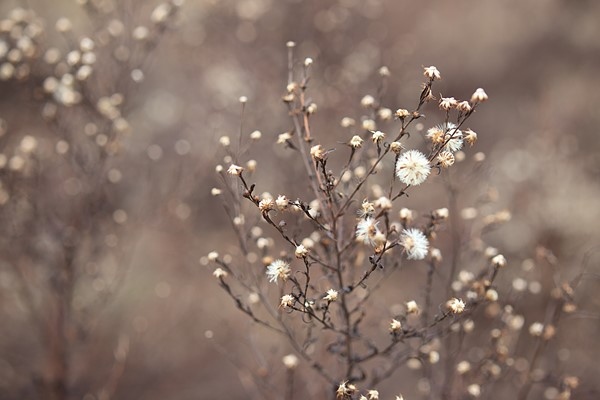 佳能EF-M32mm F1.4 STM实拍样张欣赏  第9张