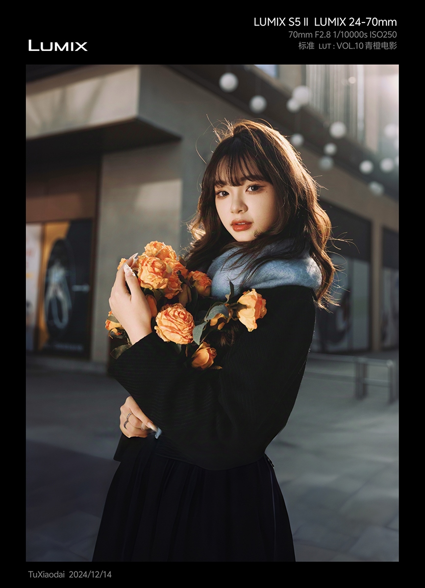 LUMIX Lab ver1.6 重磅更新！不只是后期，更是创作！  第8张