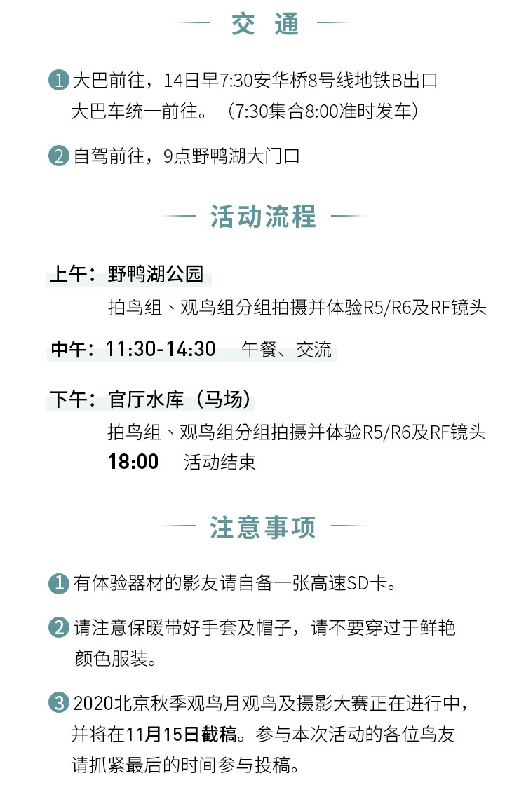 2020北京秋季观鸟月 走进野鸭湖活动招募  第2张