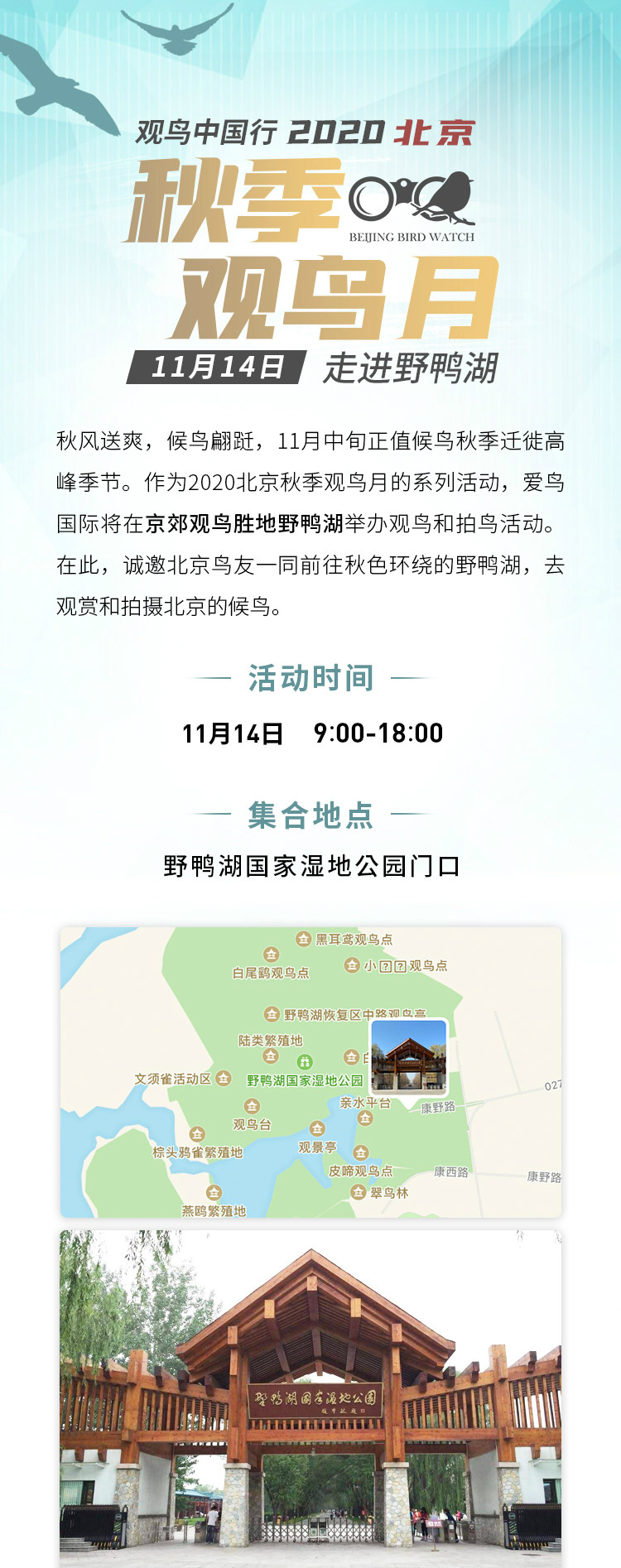 2020北京秋季观鸟月 走进野鸭湖活动招募  第1张