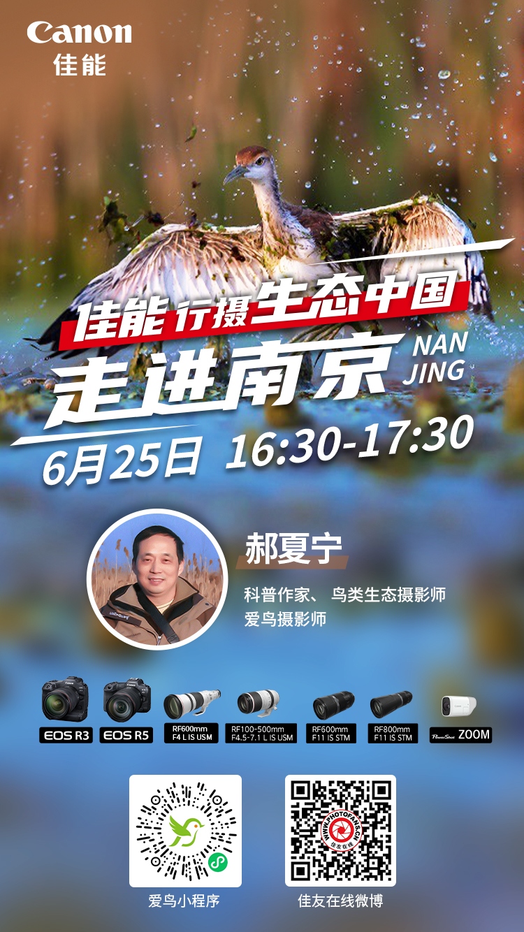 行摄生态中国 带你户外实拍凌波仙子  第1张