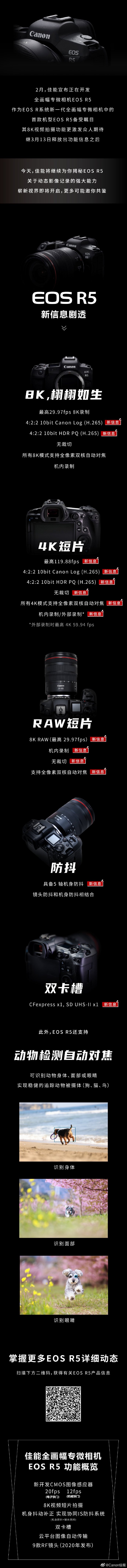 无裁切4K／120p视频  佳能公布EOS R5新消息 第2张