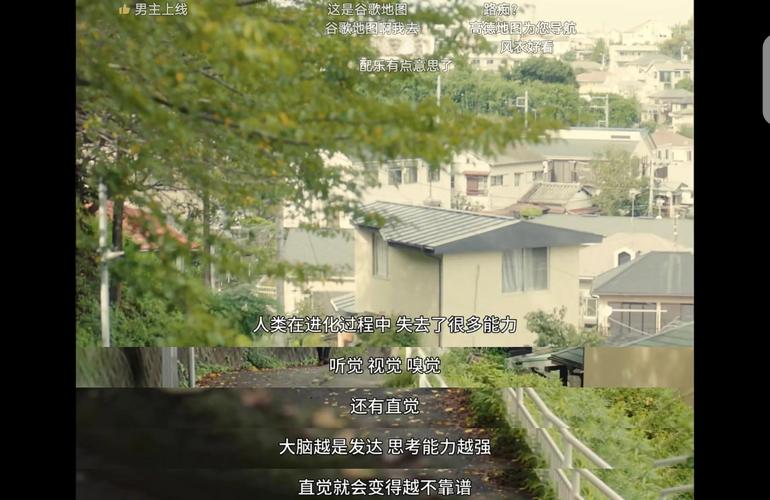 【日娛】「不能成為野獸的我們」情侶誕生？！黑木華 & 松田龍平被目睹約會看電影？  第1张